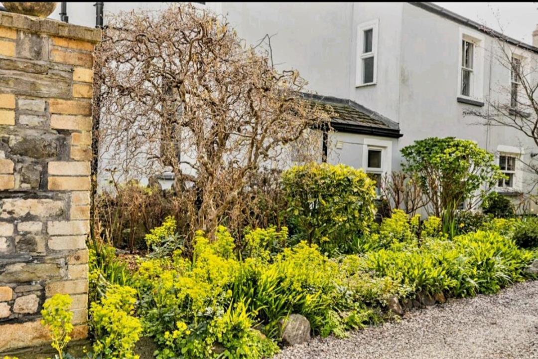 The Mews - Less Than 1Km To City Centre - Stadium - Castle - 10 Min Walk Cardiff Exterior foto